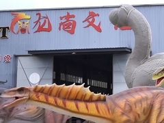 Factory On-site Video 1