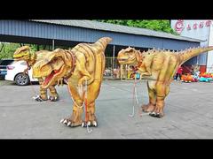 Performance Costume Suit