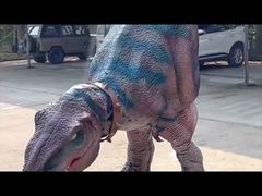 Dinosaur Performance Costume